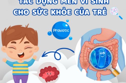 cac-loai-men-vi-sinh-4