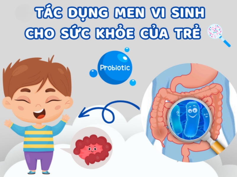 cac-loai-men-vi-sinh-4