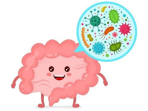 cach-dung-men-vi-sinh-Bio-acimin2