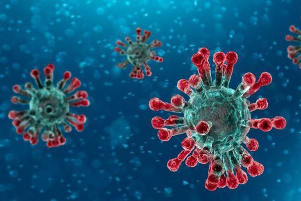 Nhiễm virus là nguyên nhân gây sổ mũi thường gặp
