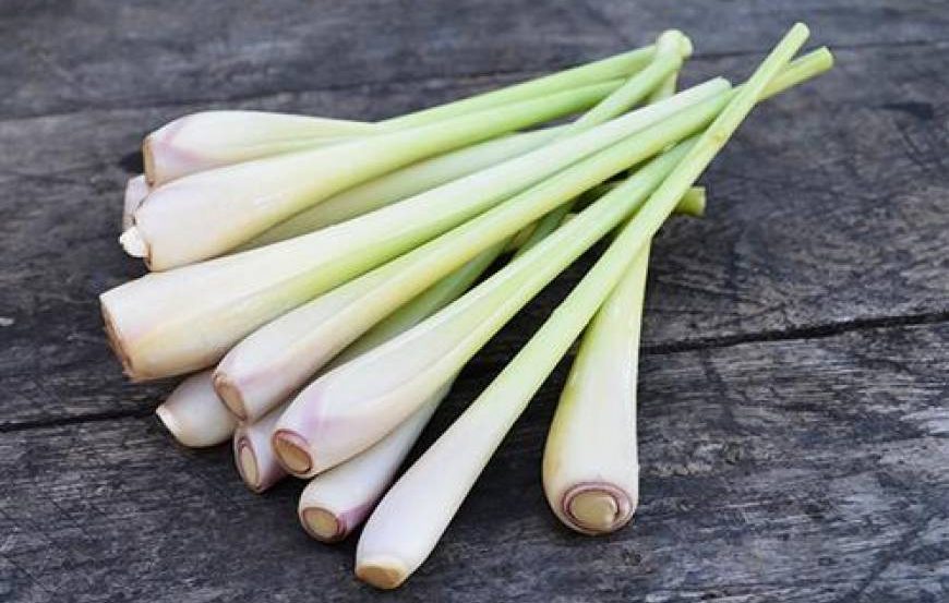 Dầu gội trị nấm da đầu cho bà bầu có thể chứa sả, hương nhu