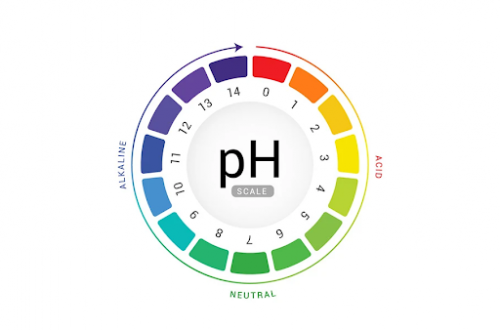 do-ph-cua-dung-dich-phu-nu