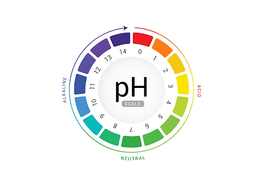 do-ph-cua-dung-dich-phu-nu