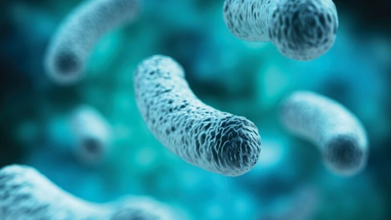 men-vi-sinh-10-chung