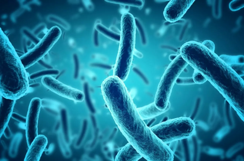 men-vi-sinh-bacillus-clausii1