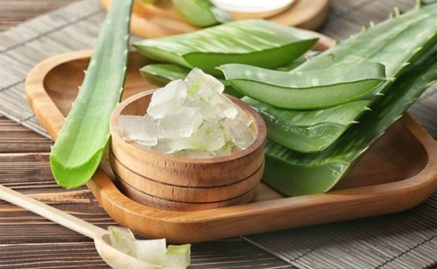 Lá nha đam tươi và gel được lấy trực tiếp để dưỡng da đầu