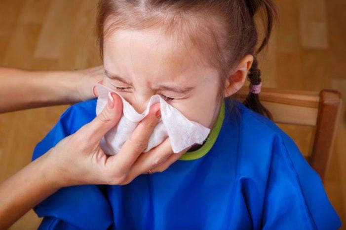 Nước mũi chảy liên tục dù không sốt.