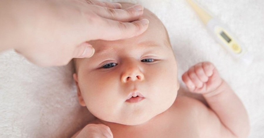 Men-vi-sinh-dang-ong2