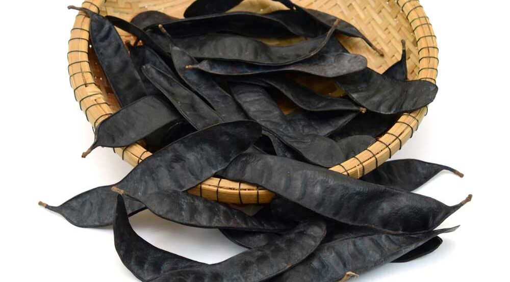 Bồ kết cũng là cách trị gàu cho nam giới hiệu quả