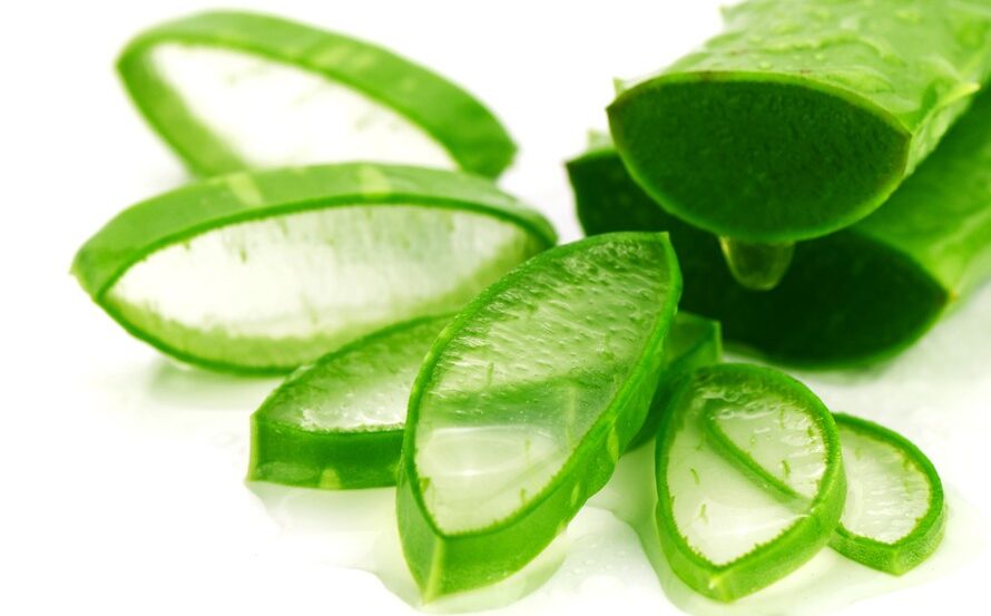 Nha đam giúp làm dịu da đầu và giảm ngứa hiệu quả giúp da đàu hết gàu