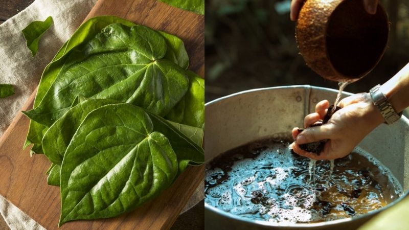 Gội đầu bằng trầu không và bồ kết giúp trị gàu và giảm ngứa.