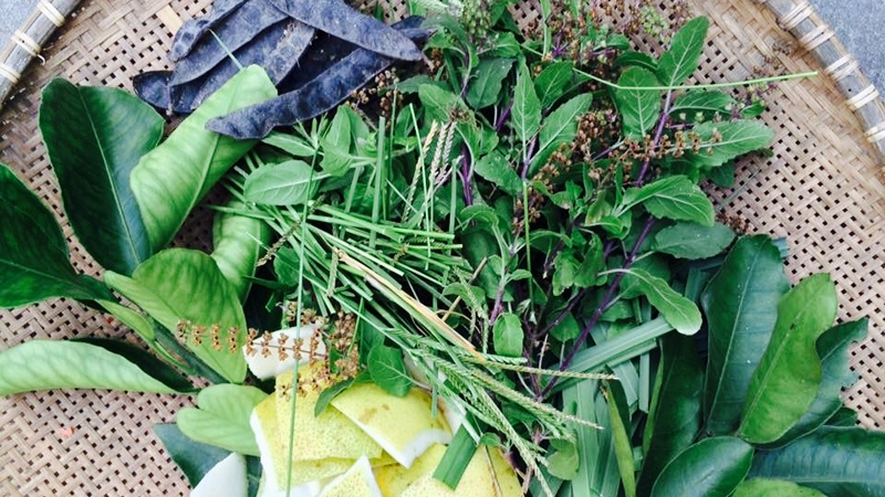 Một số loại thảo dược giúp trị gàu cho bé.