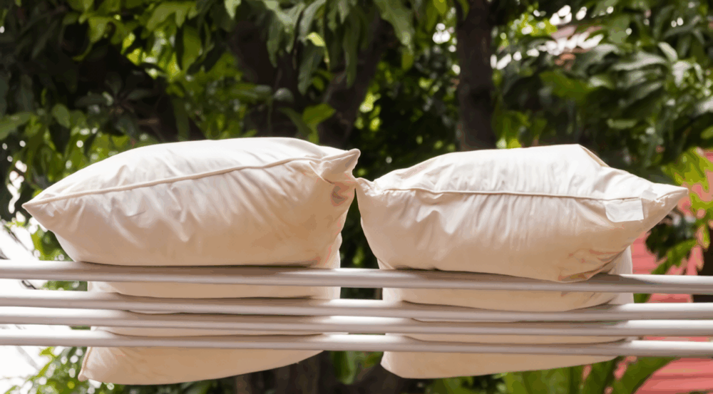 Vệ sinh gối, mũ… thường xuyên nhằm hạn chế gàu