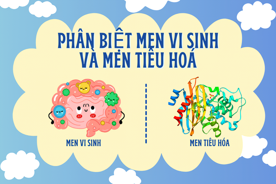 phan-biet-men-vi-sinh-va-men-tieu-hoa-4