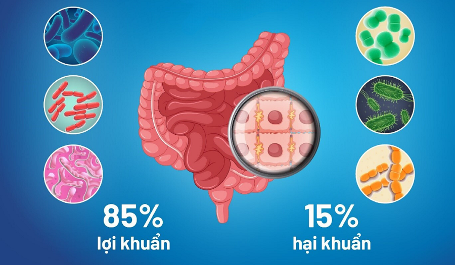 roi-loan-tieu-hoa-dau-bong-tung-con3