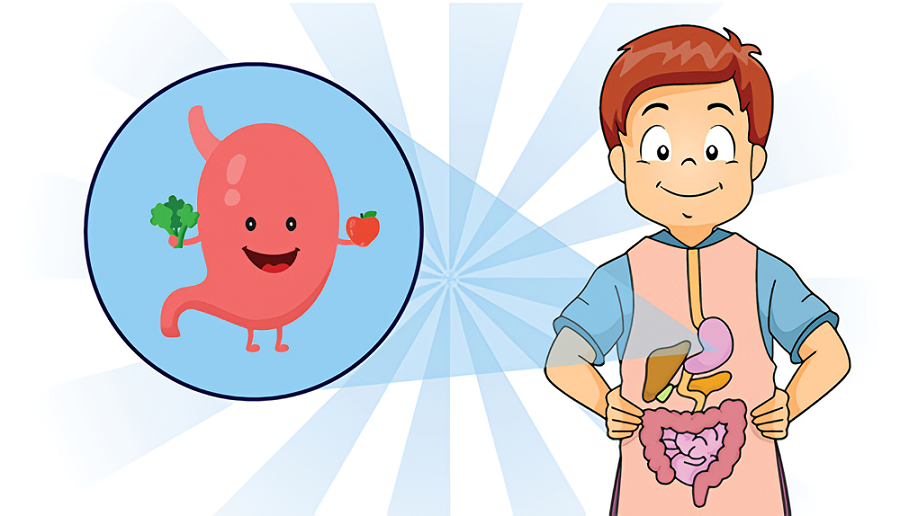 roi-loan-tieu-hoa-sau-khang-sinh-4