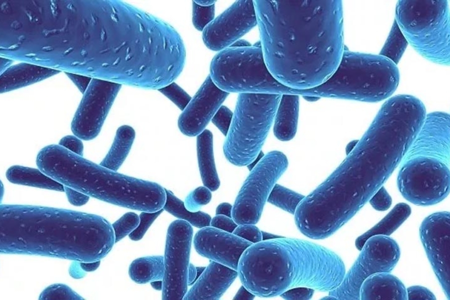 tac-dung-cua-men-vi-sinh-2