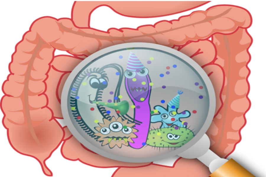 tac-dung-cua-men-vi-sinh-4