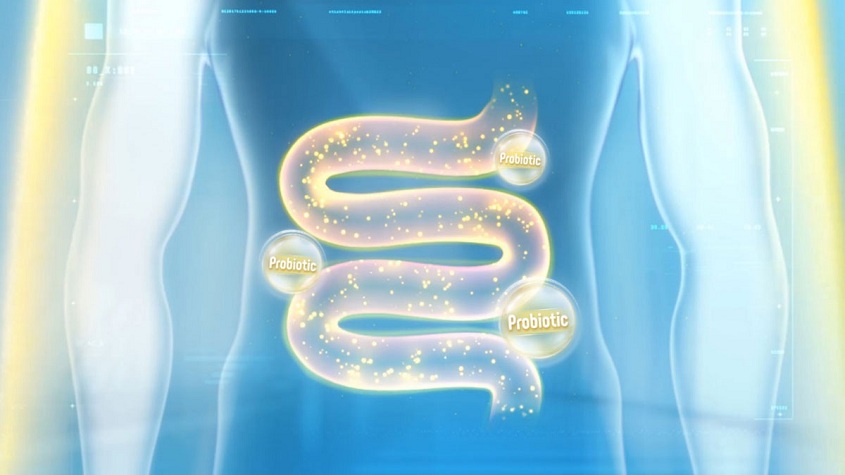 bacillus-clausii-ong-2