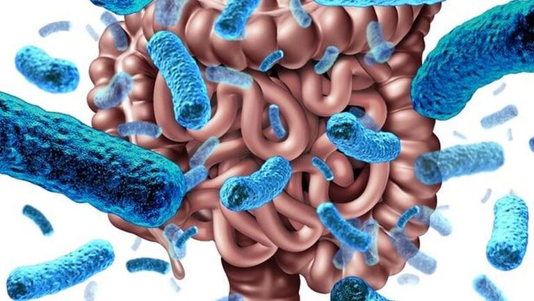 bi-chuong-bung-day-hoi-3