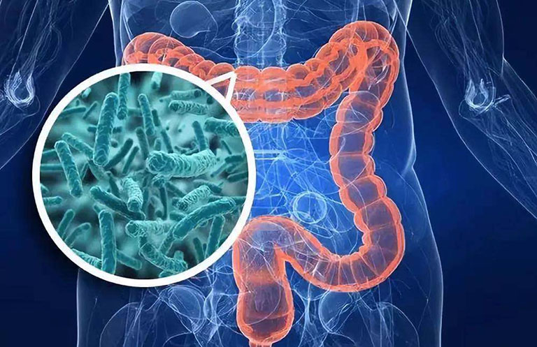 cach-uong-bacillus-clausii-2