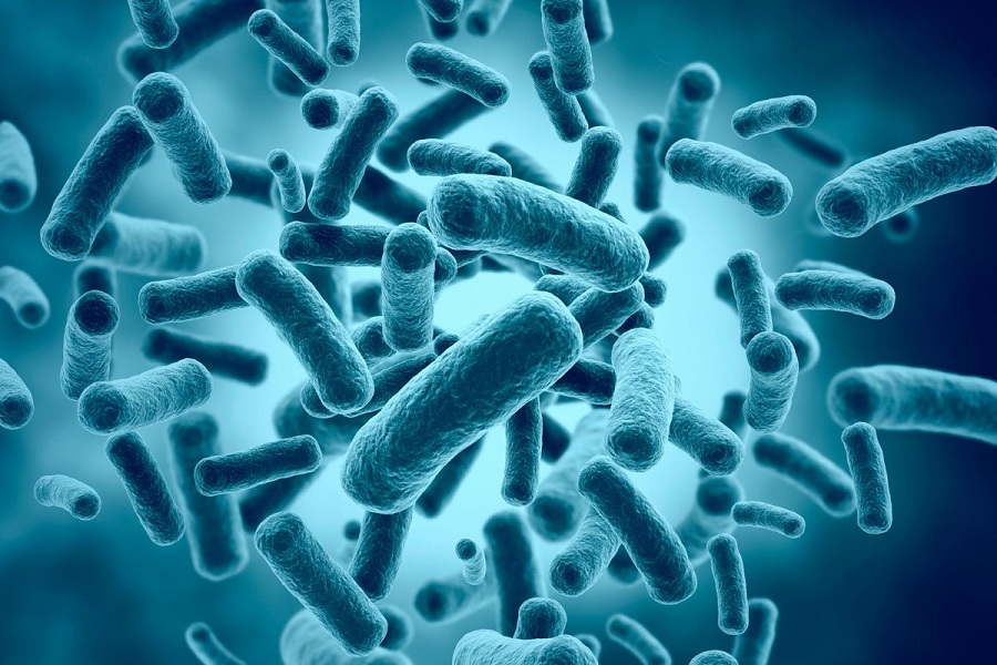 men-ong-vi-sinh-bacillus-clausii-2