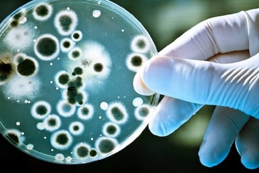 tre-bi-tieu-chay-cap-4