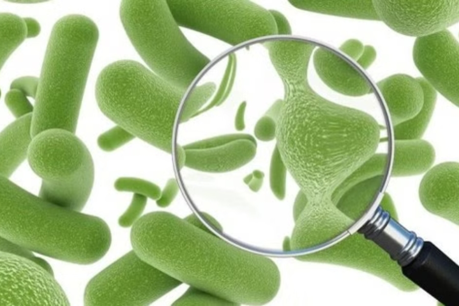 tre-bi-tieu-chay-cap-5