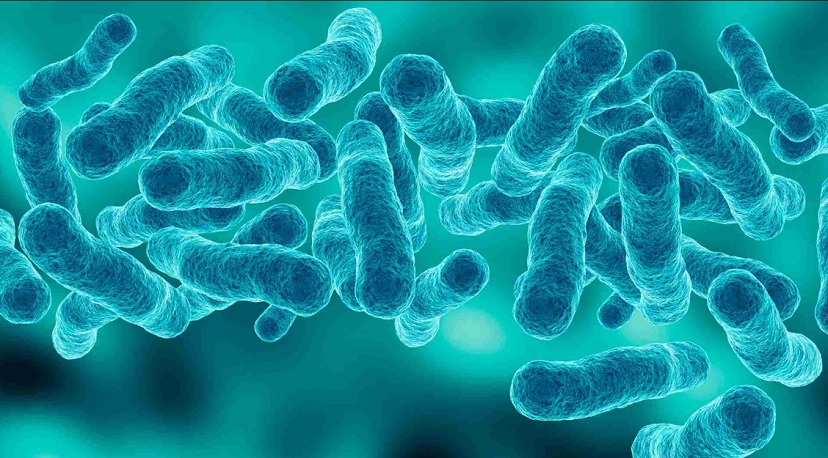 tre-chuong-bung-day-hoi-4