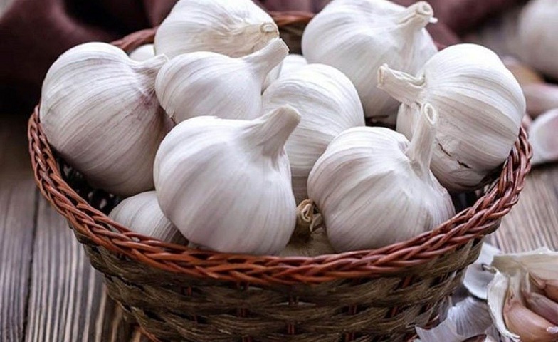 tri-nam-ngua-vung-kin-3