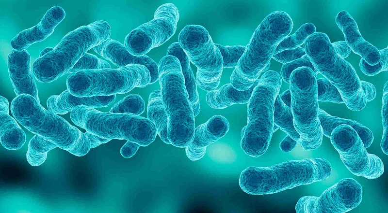 tri-tieu-chay-cho-tre-4