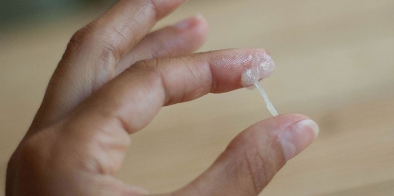 vung-kin-bi-ngua-co-dich-trang-von-cuc-2