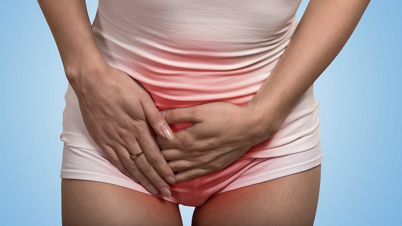 vung-kin-bi-ngua-co-dich-trang-von-cuc-3