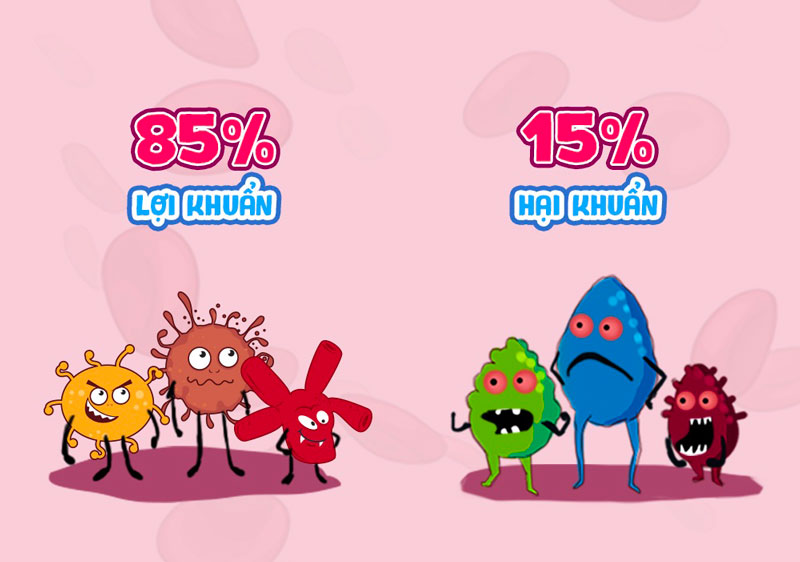 bao-tu-loi-khuan-tri-tao-bon-2