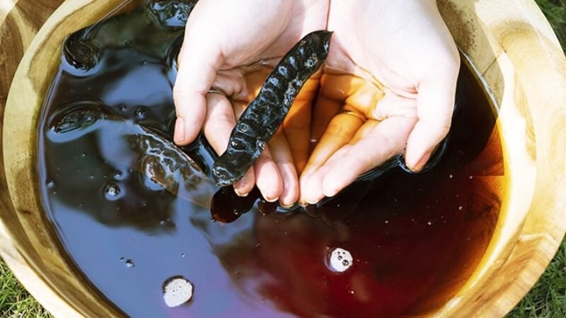 Gội đầu với bồ kết giúp làm dịu da đầu, giảm ngứa và trị ngứa da đầu hiệu quả