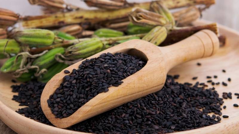 collagen-noi-tiet-to-4