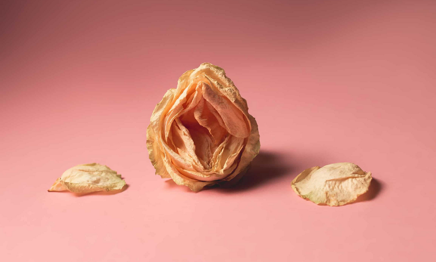 meo-chua-kho-vung-kin-1