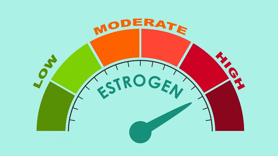 vitamin-e-loai-nao-tot-cho-noi-tiet-1