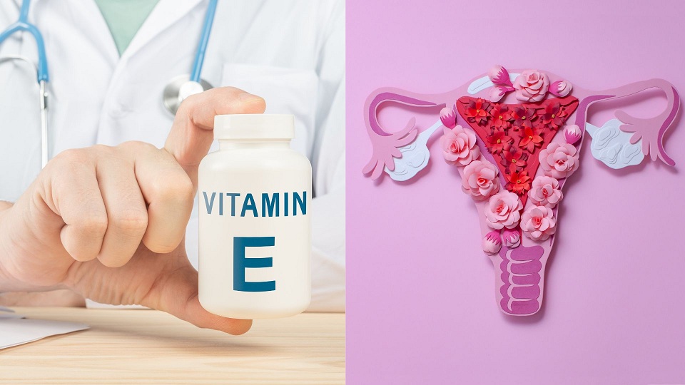 vitamin-e-loai-nao-tot-cho-noi-tiet-2