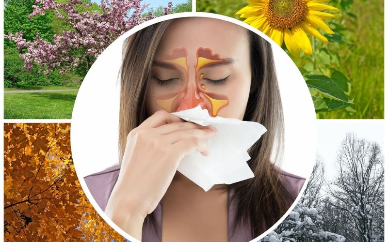 Viêm mũi dị ứng có thể tùy thuộc vào thời tiết của mùa trong năm