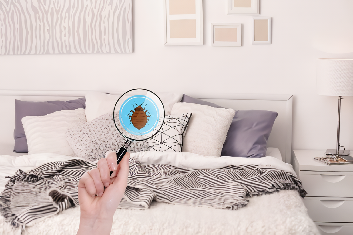 Sử dụng bọc chống dị ứng ngăn chặn tiếp xúc với mạt bụi