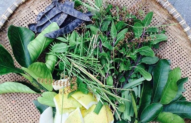 Các loại thảo dược giúp mọc tóc đang được nhiều người tin tưởng sử dụng