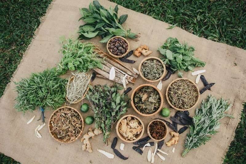 Nên kết hợp các loại thảo dược giúp mọc tóc trong một công thức