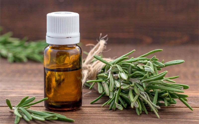 Tinh dầu hương thảo không những giúp thư giãn mà còn giúp kích thích nang tóc mọc dày