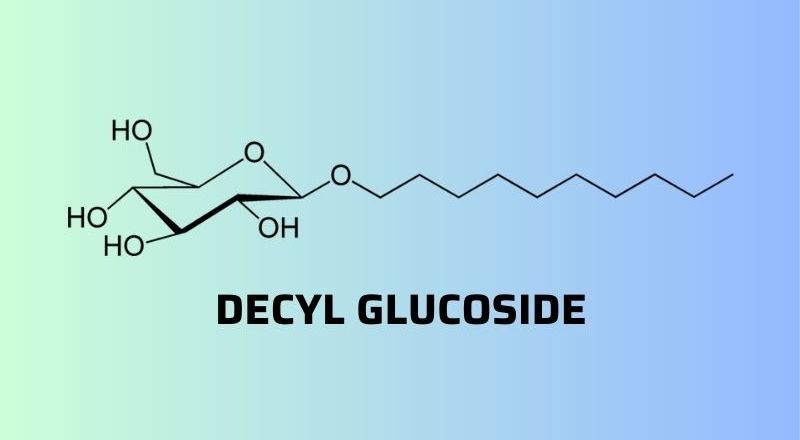decyl-glucoside-co-tac-dung-gi-1
