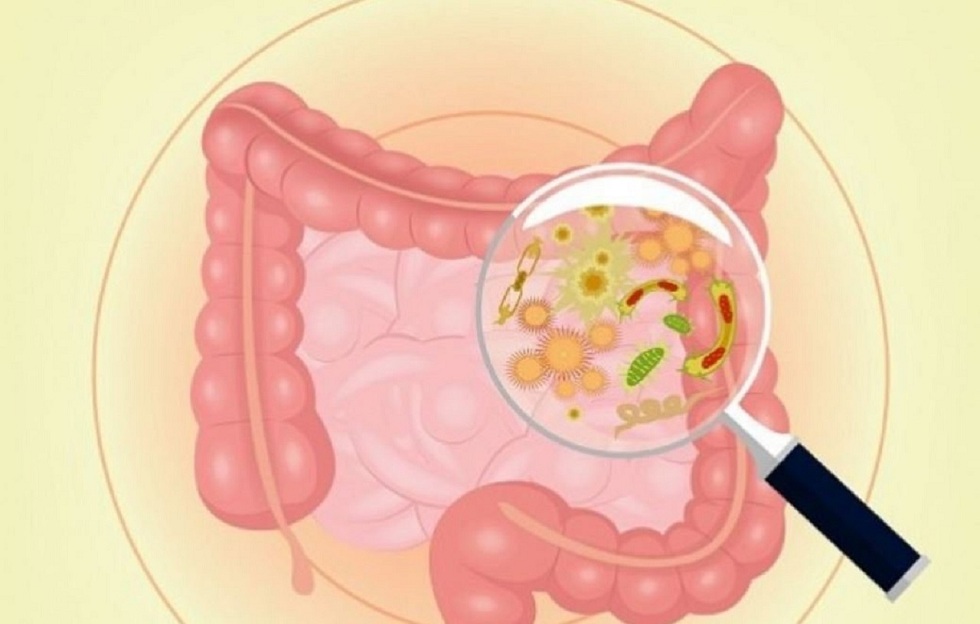 tre-so-sinh-bi-loan-khuan-duong-ruot-1