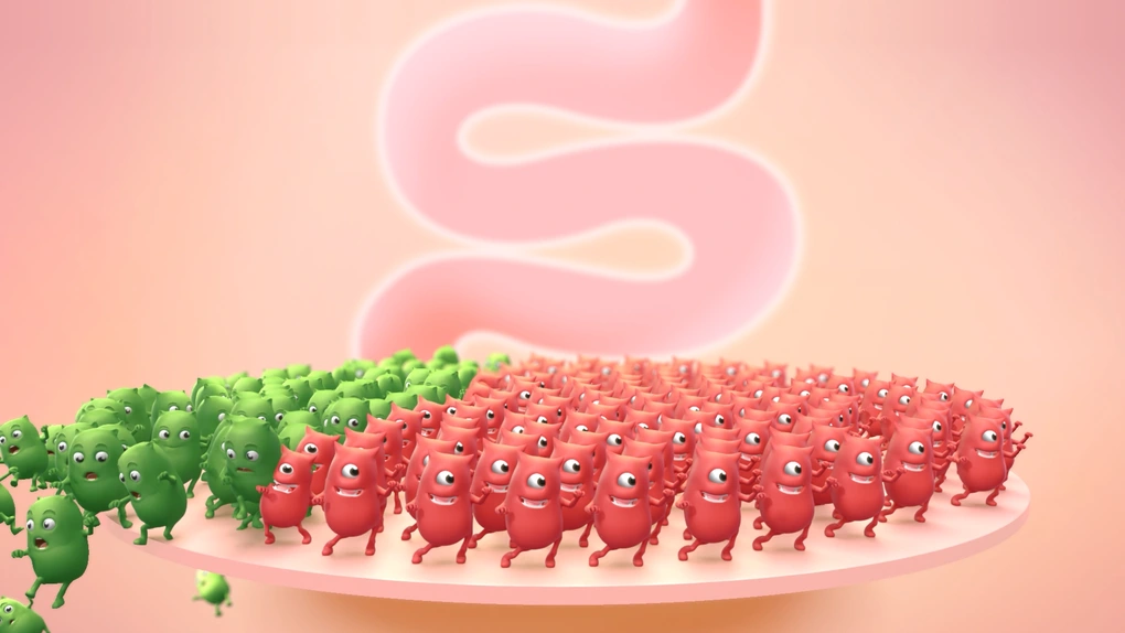 an-gi-de-duong-ruot-khoe-1