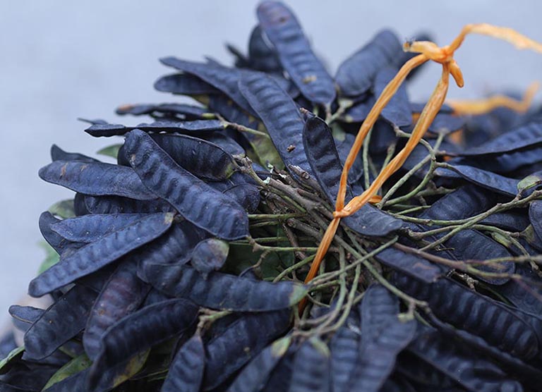 Cách chữa nấm da đầu ở trẻ em tự thiên nhiên được nhiều người tin tưởng