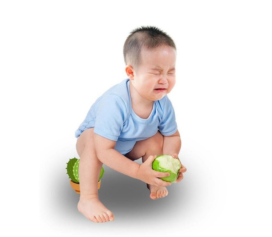 cach-tri-tao-bon-cho-tre-theo-dan-gian-1