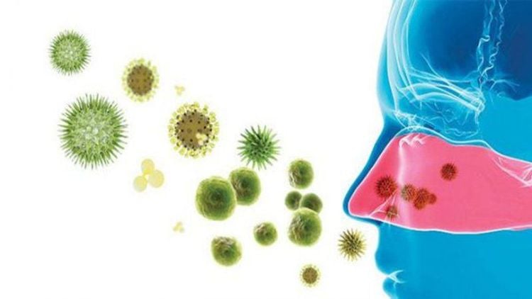 Histamin được phóng thích gây sưng phù niêm mạc mũi và hắt hơi liên tục.